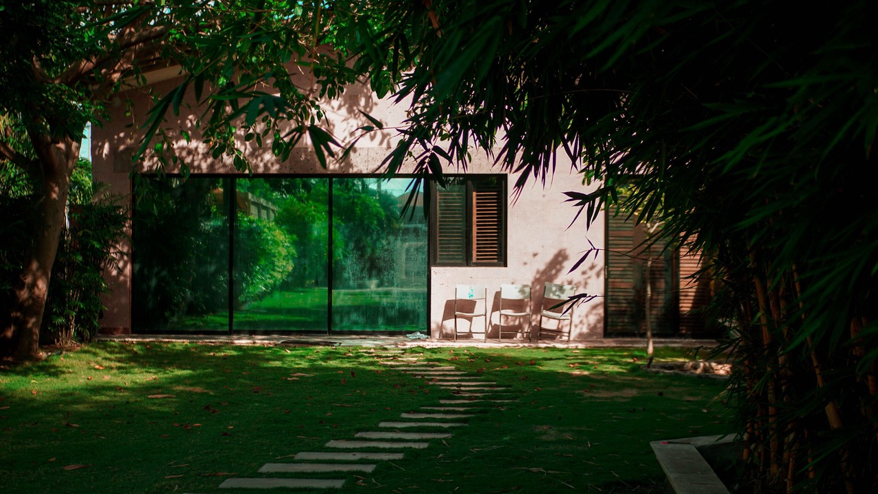 Photo of Outdoor in Chetumal