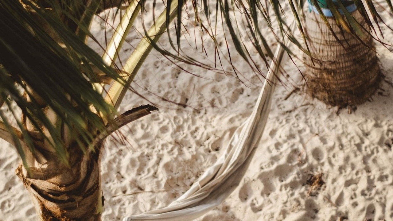 Photo of Others in El Placer