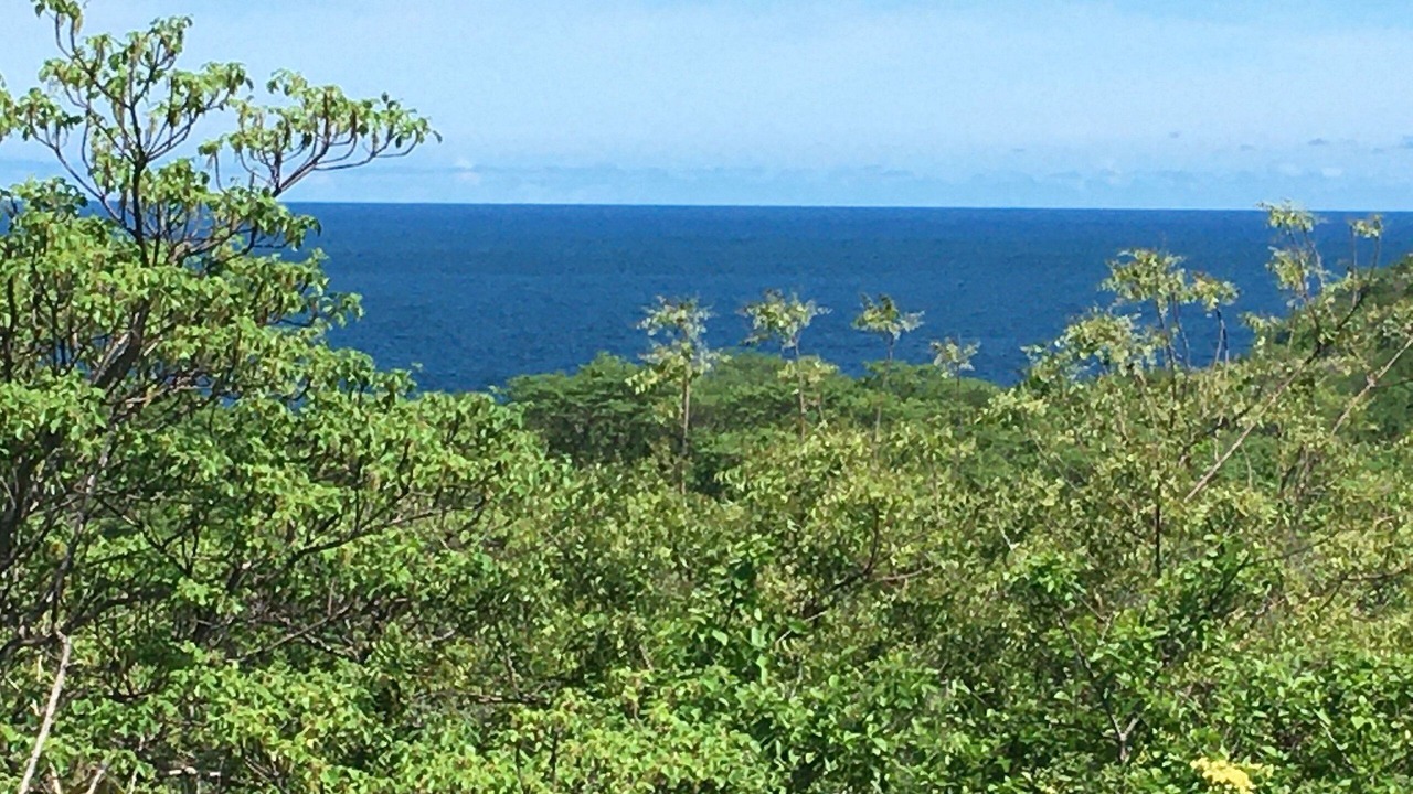 Photo of Outdoor in Salchi