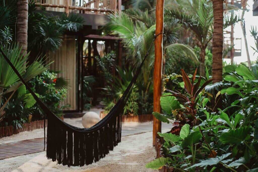 Photo of Outdoor in Zona Hotelera
