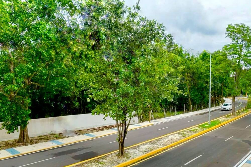 Photo of Outdoor in Bacalar