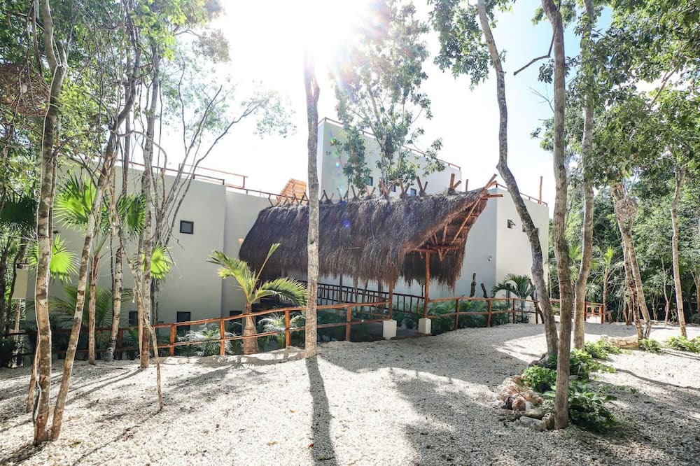 Photo of Outdoor in Buenavista