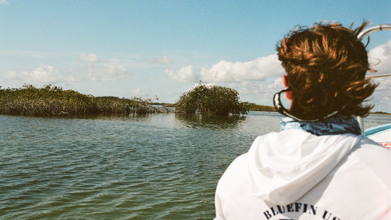 Photo of Outdoor in Punta Allen