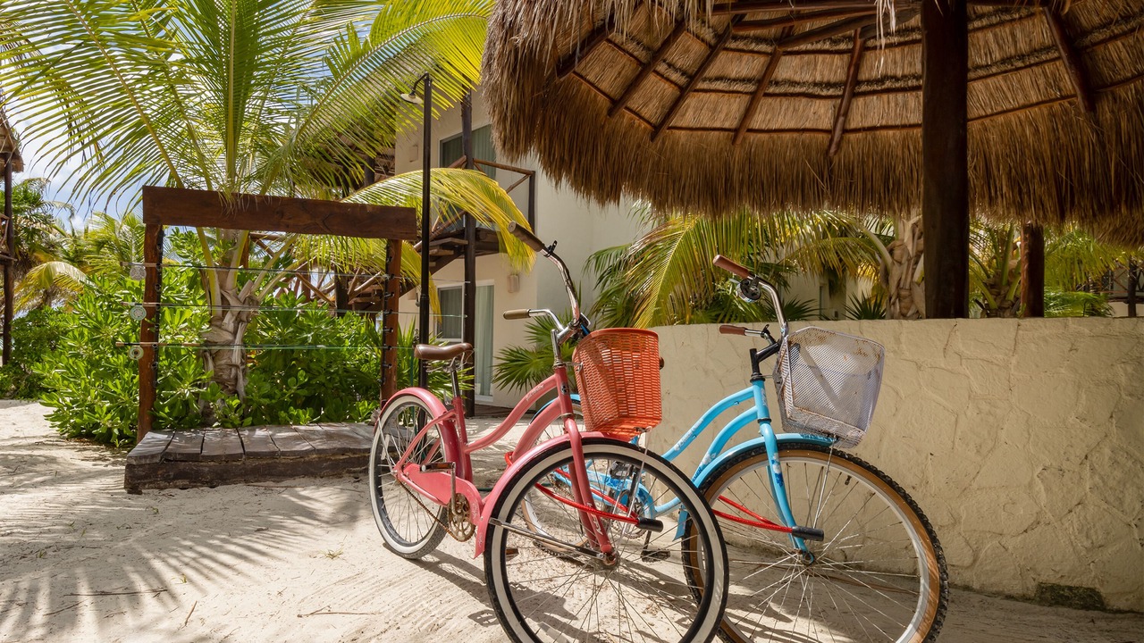 Photo of Outdoor in Punta Allen