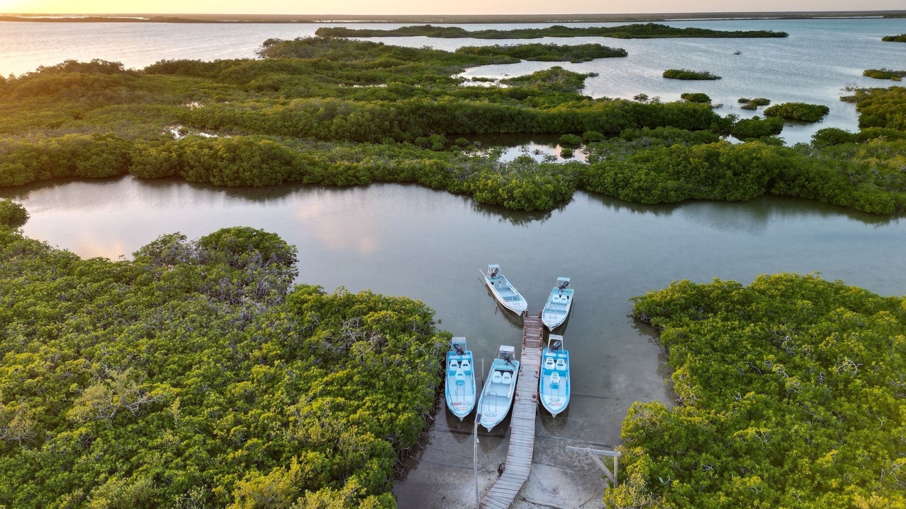 Photo of Outdoor in Punta Allen