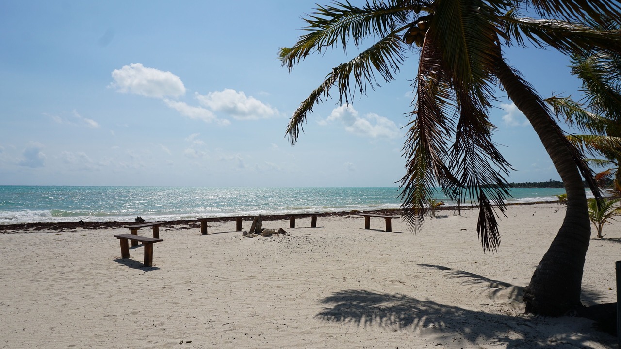 Photo of Outdoor in Punta Allen