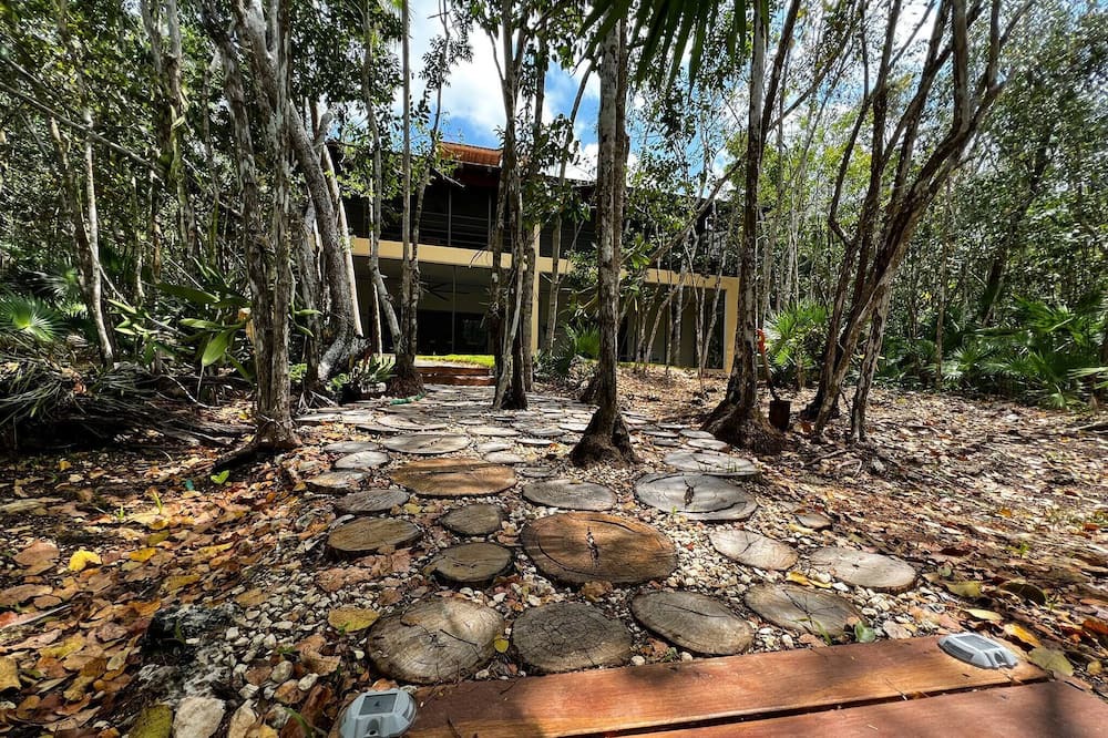 Photo of Outdoor in Buenavista