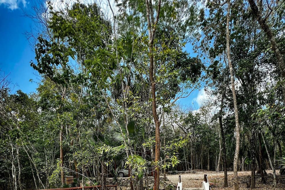 Photo of Outdoor in Buenavista