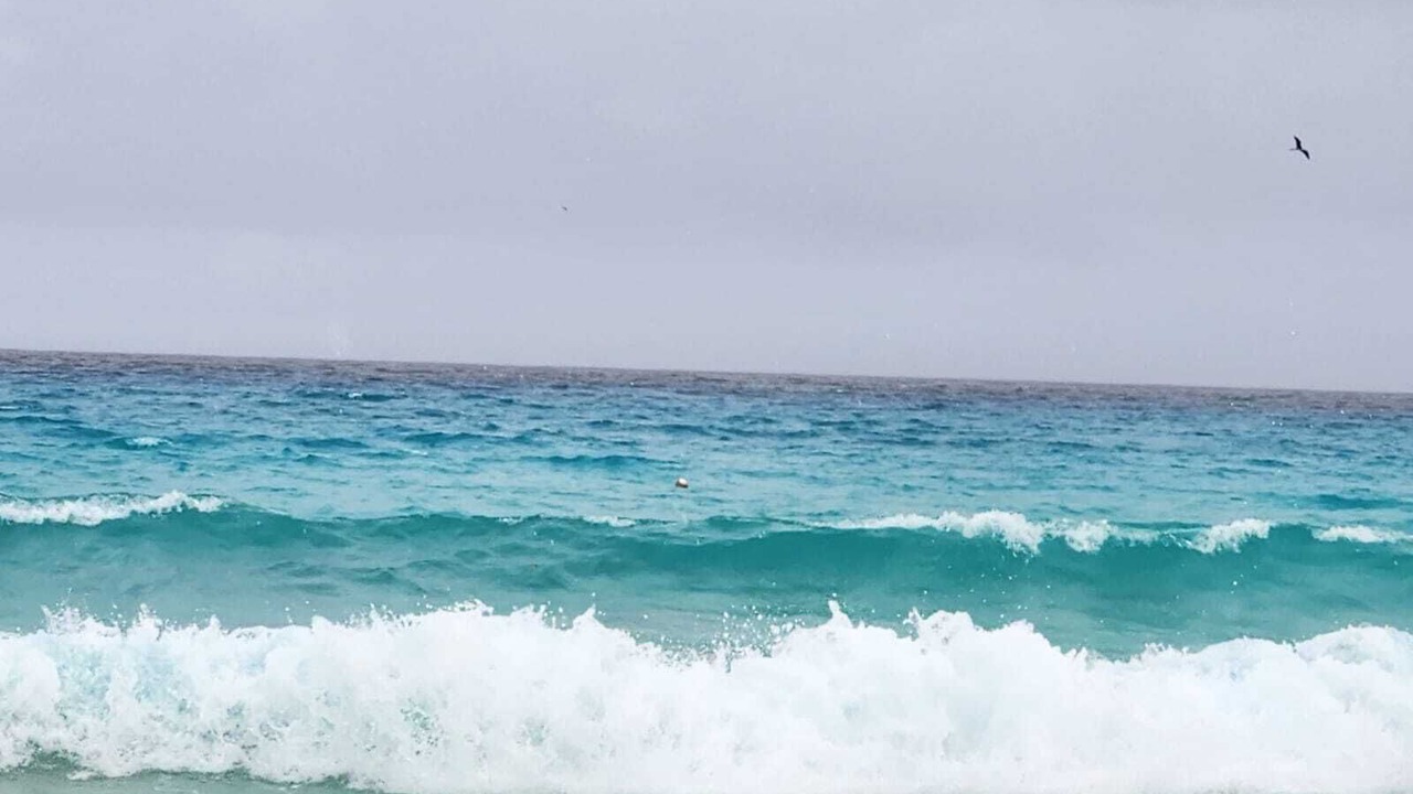 Photo of Others in Punta Cancun