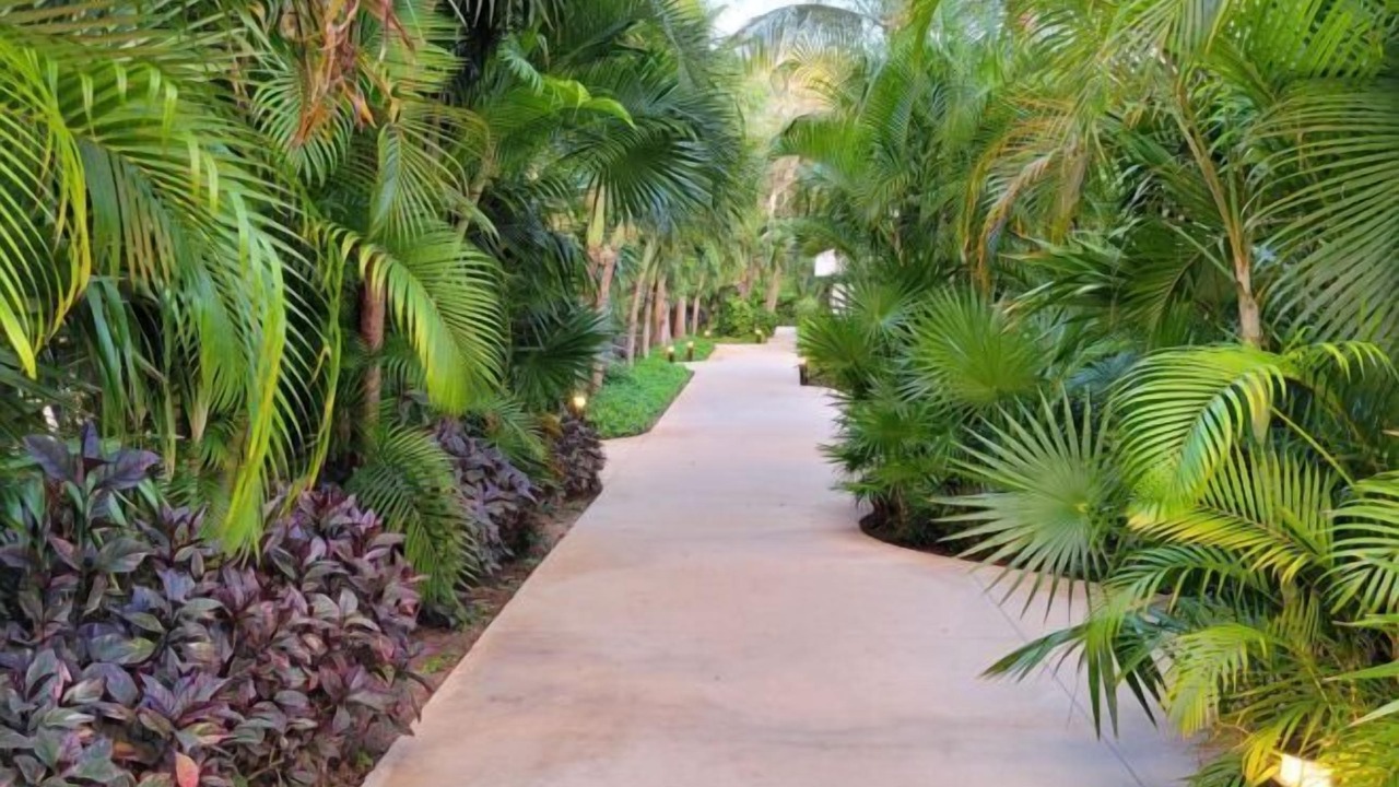 Photo of Outdoor in Puerto Juarez