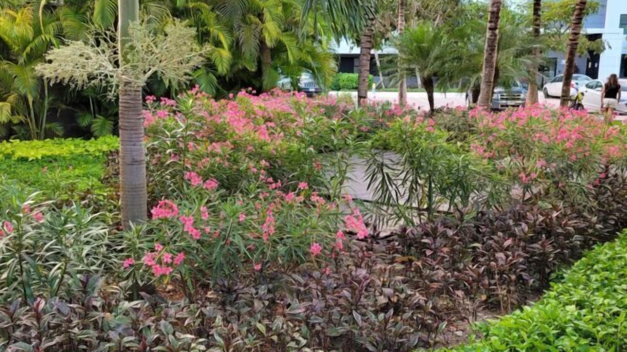 Photo of Outdoor in Puerto Juarez
