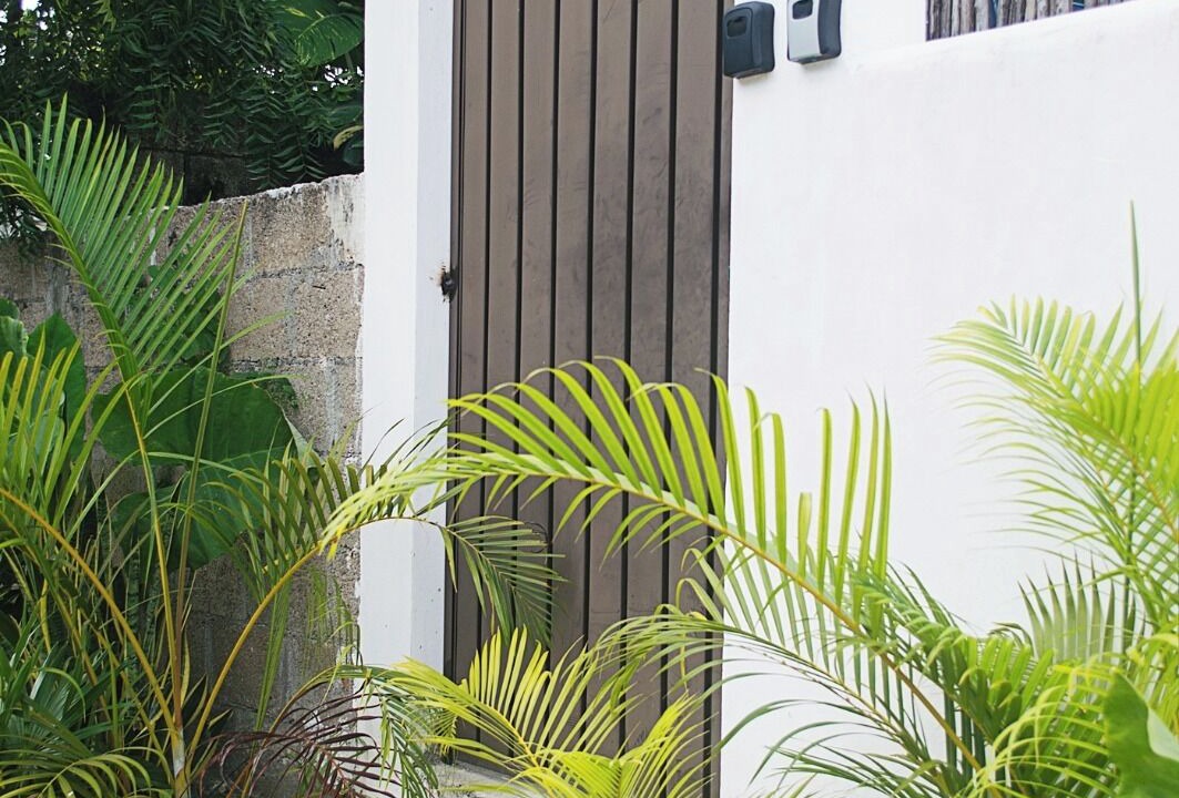 Photo of Outdoor in Bacalar