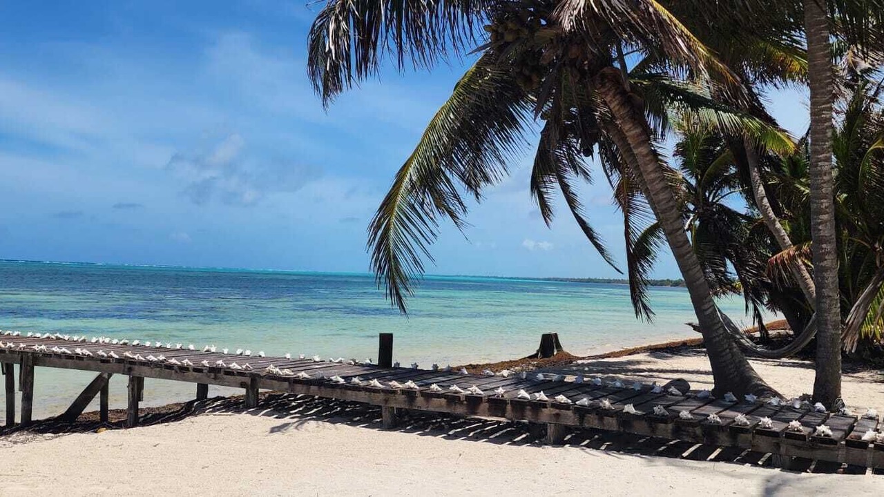 Photo of Outdoor in Xcalak