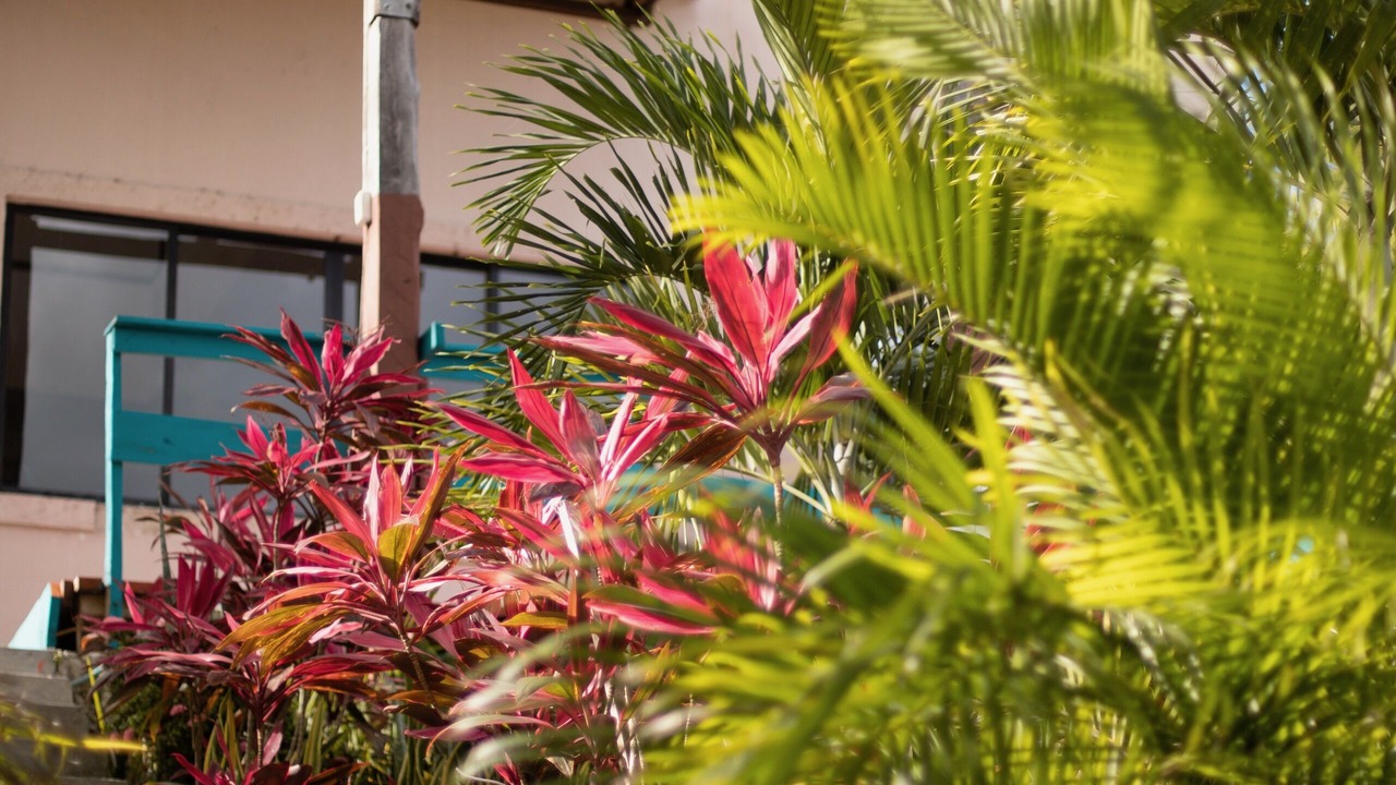 Photo of Outdoor in Centro