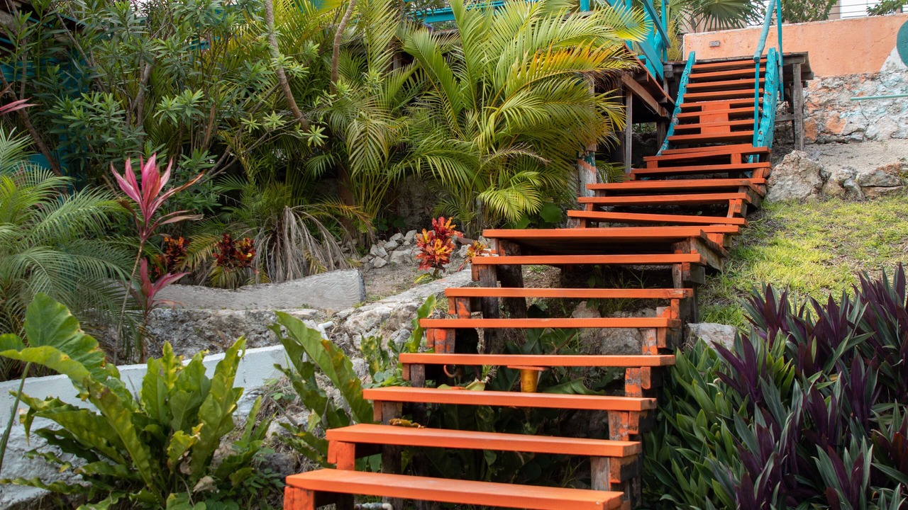 Photo of Outdoor in Centro