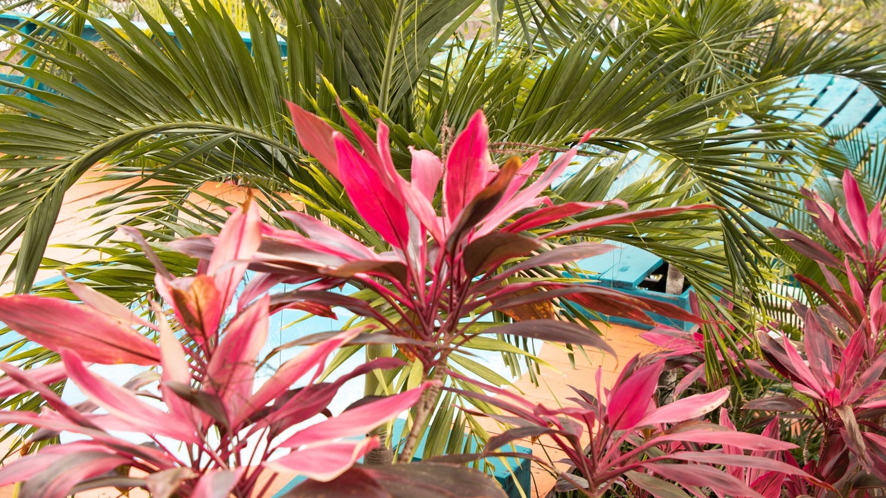 Photo of Outdoor in Centro