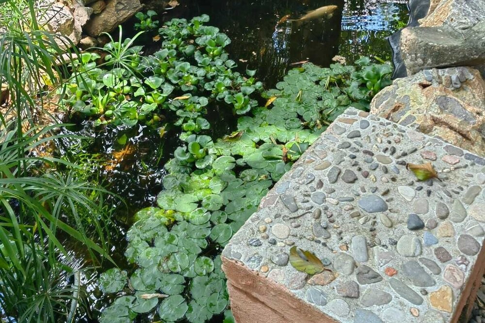 Photo of Outdoor in San Felipe del Agua