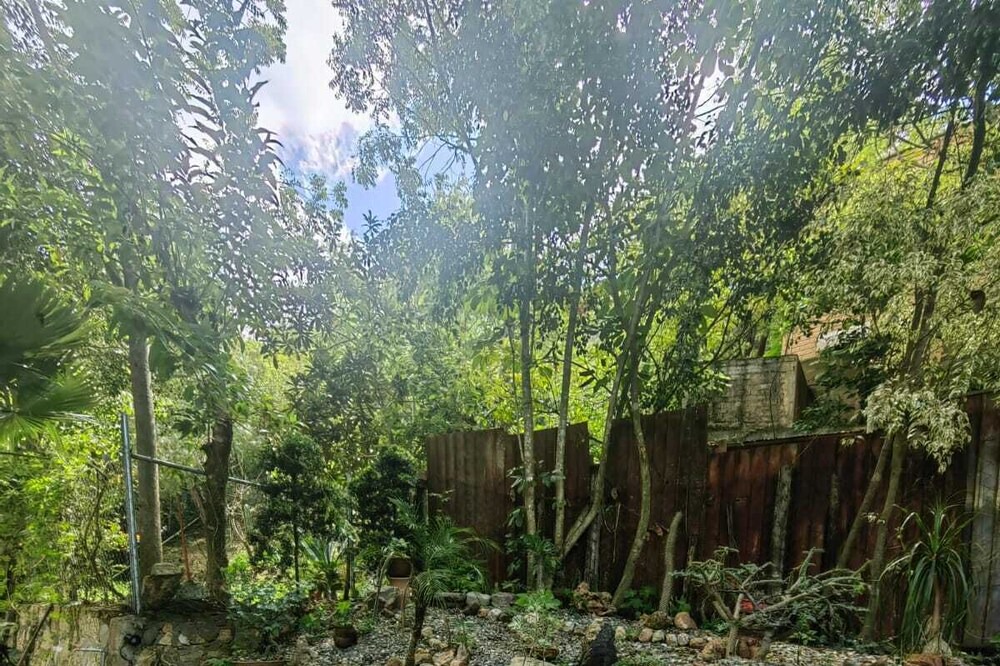 Photo of Outdoor in San Felipe del Agua