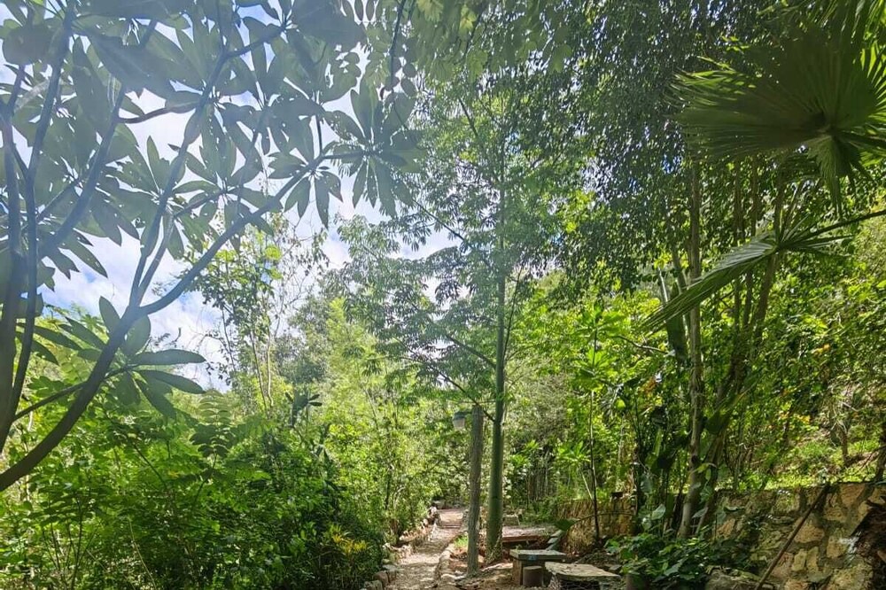 Photo of Outdoor in San Felipe del Agua