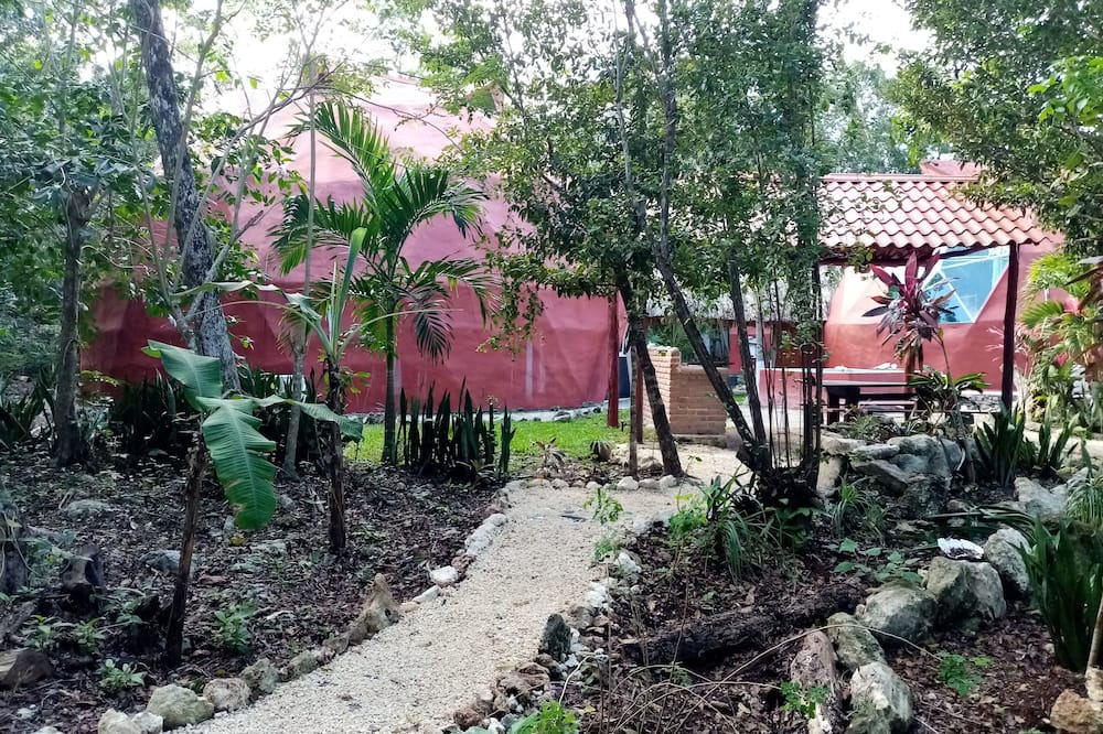 Photo of Outdoor in Benito Juarez