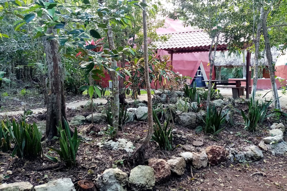 Photo of Outdoor in Benito Juarez