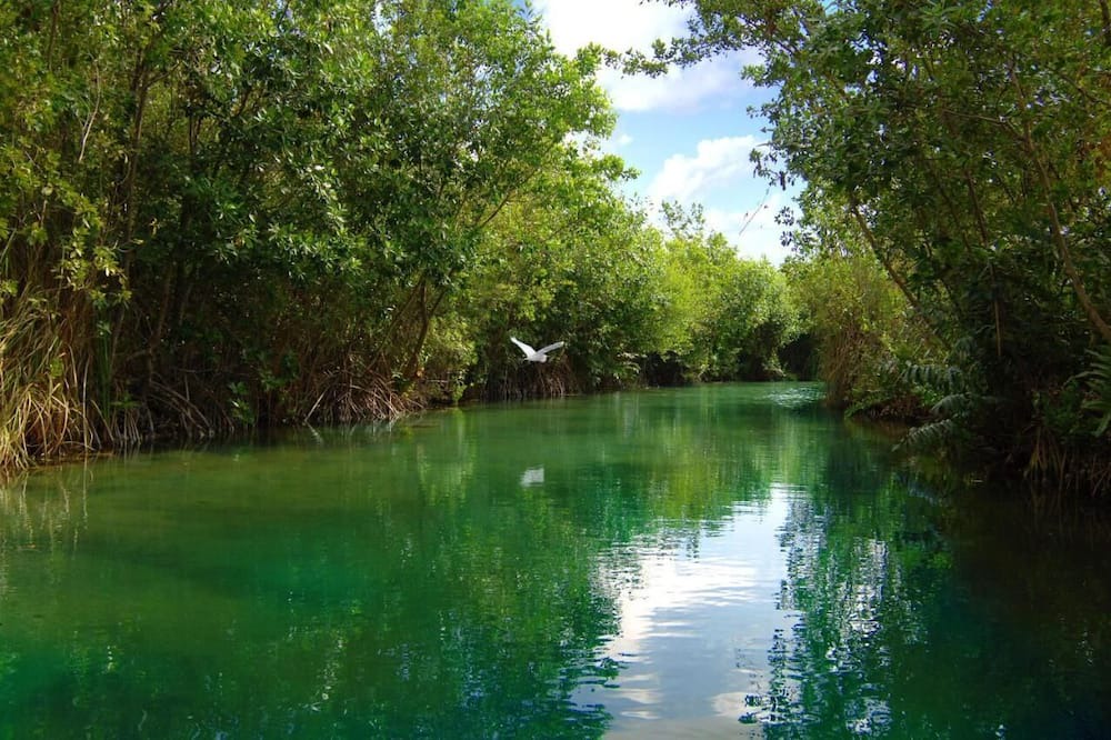 Photo of Outdoor in Mayakoba