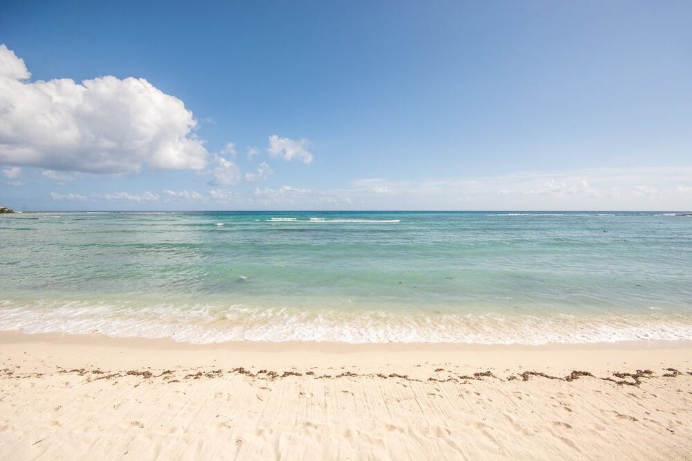 Photo of Others in Akumal