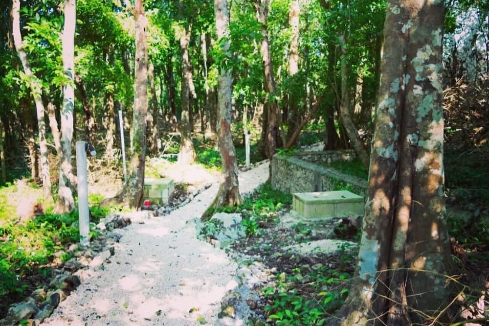 Photo of Outdoor in Xcaret