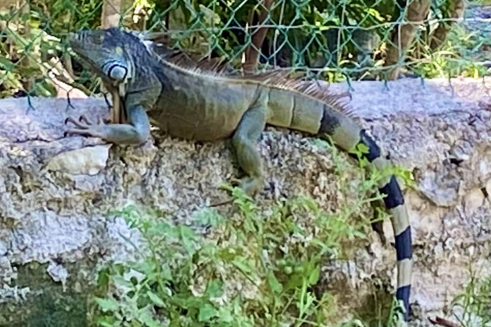 Photo of Outdoor in Xcaret
