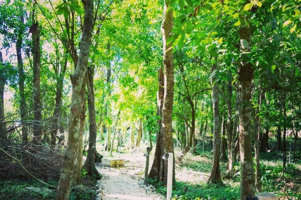 Photo of Outdoor in Xcaret