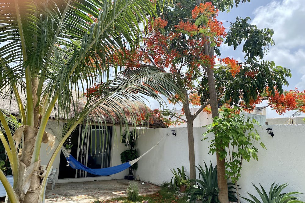 Photo of Outdoor in Majahual