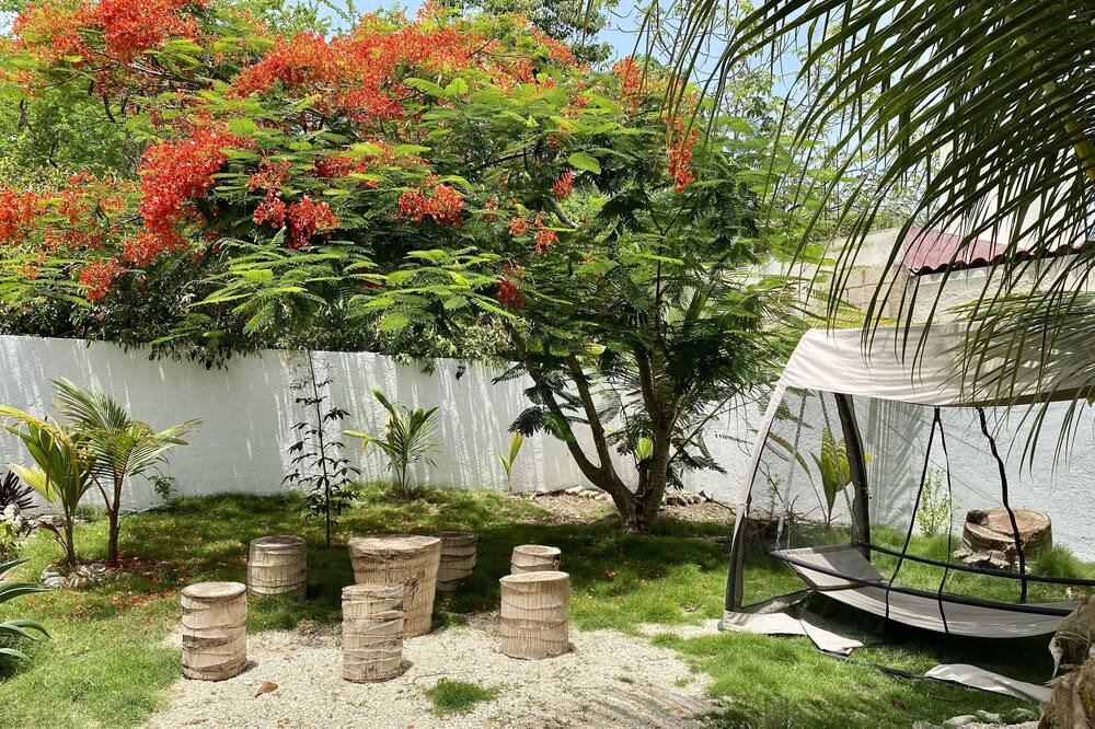 Photo of Outdoor in Majahual