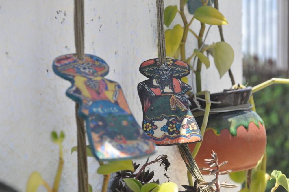 Photo of Others in Majahual