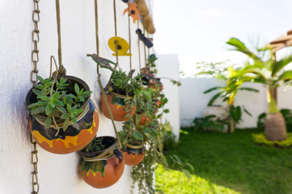 Photo of Outdoor in Majahual