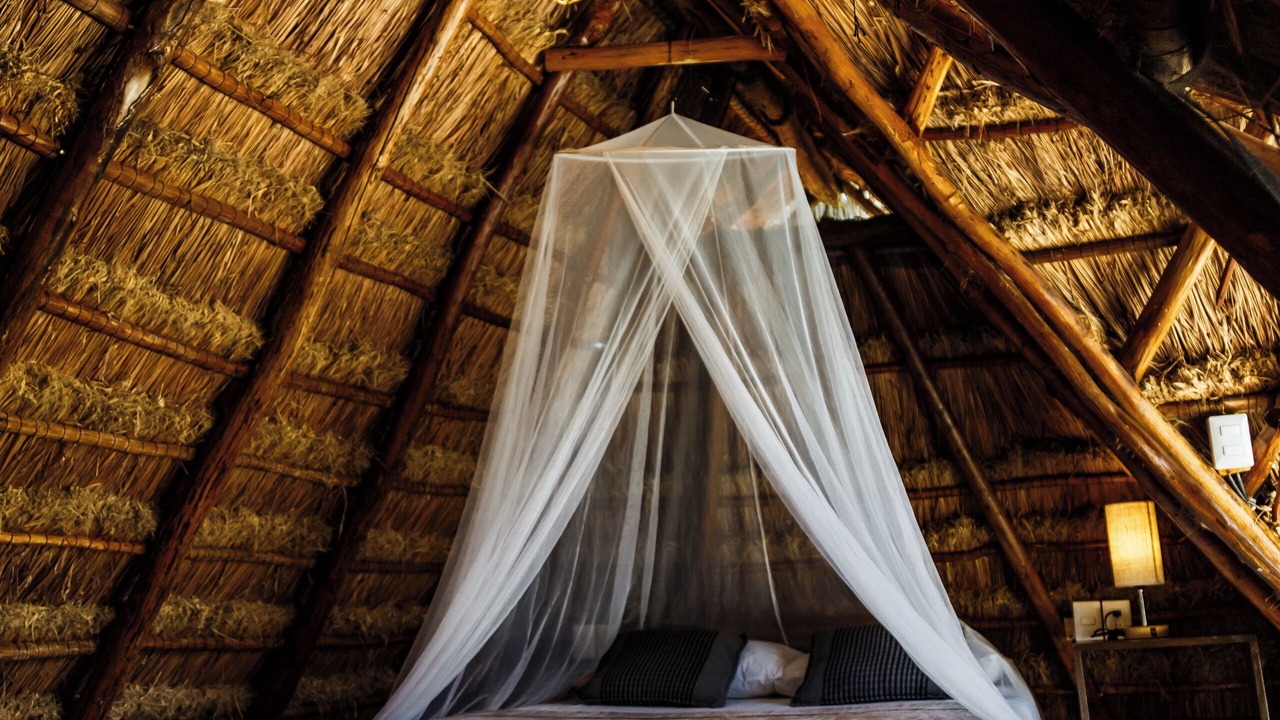 Photo of Bedroom in Zona Hotelera