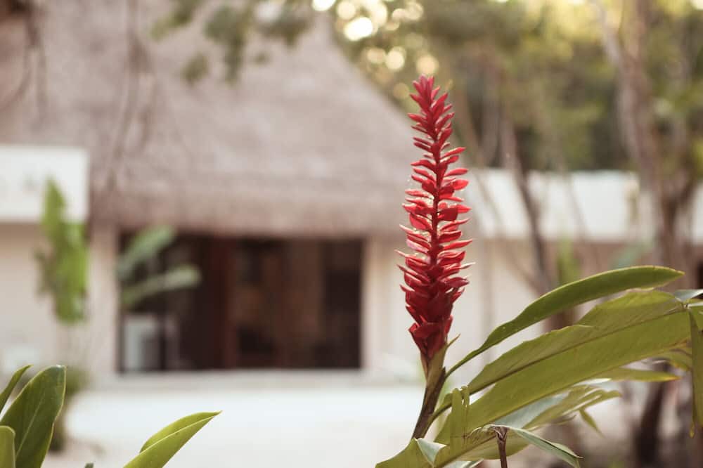 Photo of Outdoor in Akumal
