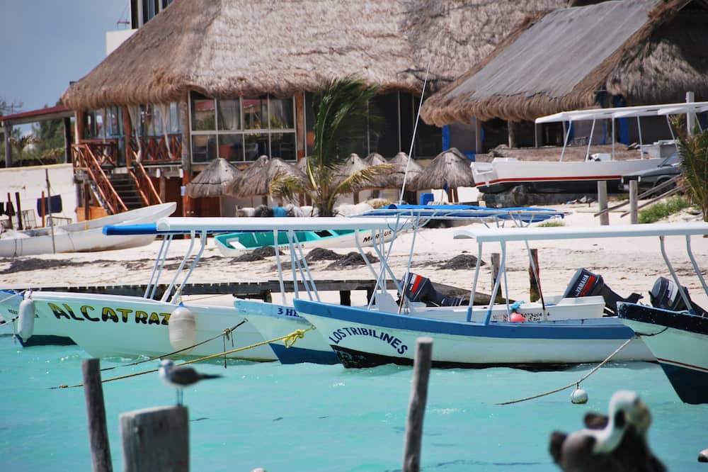 Photo of Others in Puerto Morelos