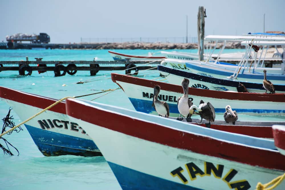 Photo of Others in Puerto Morelos