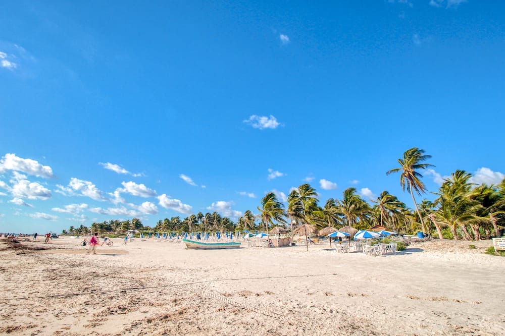 Photo of Others in Tulum