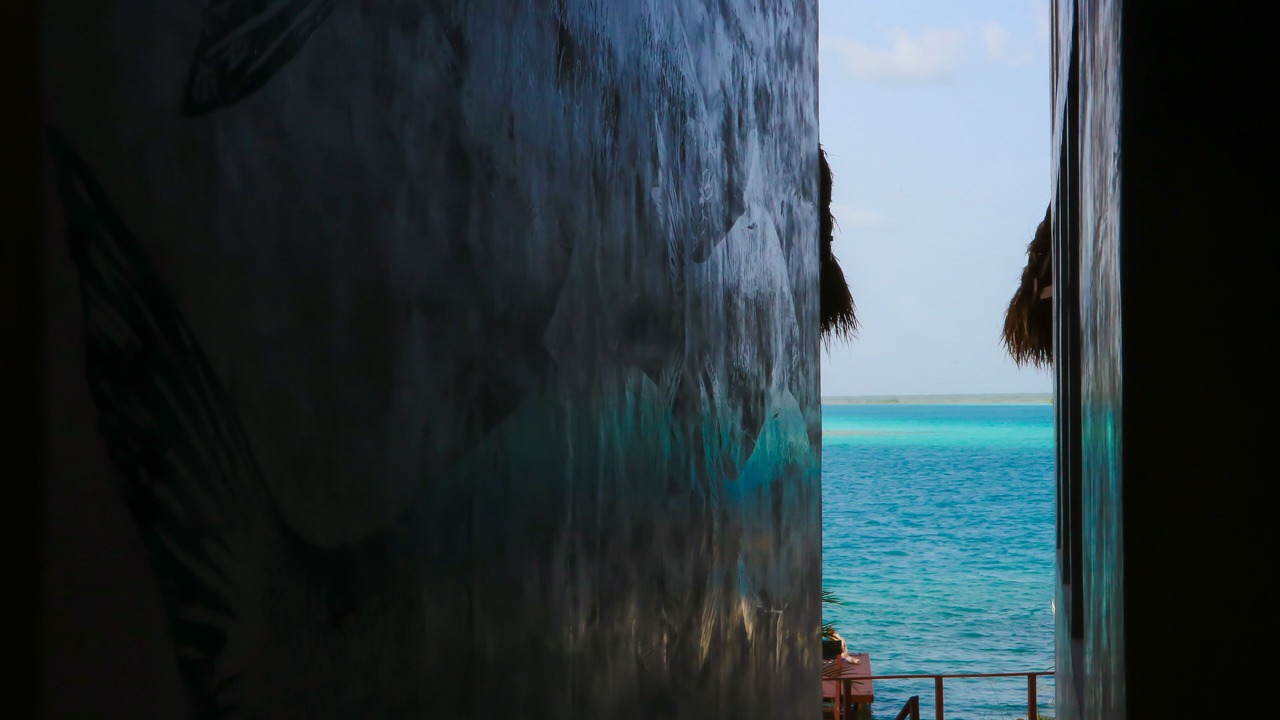 Photo of Others in Chetumal