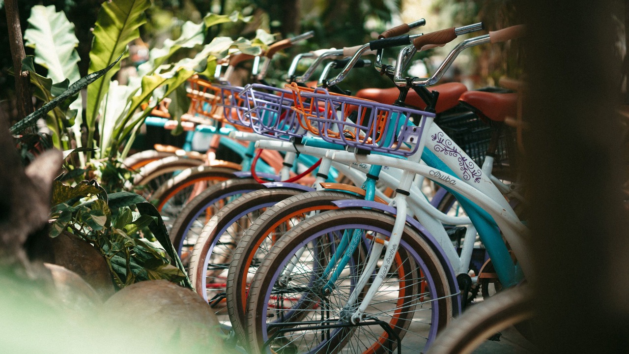 Photo of Outdoor in Tulum City Center