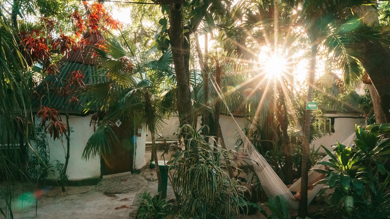Photo of Outdoor in Tulum City Center
