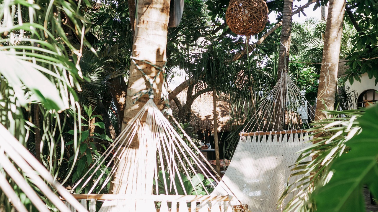 Photo of Outdoor in Tulum City Center