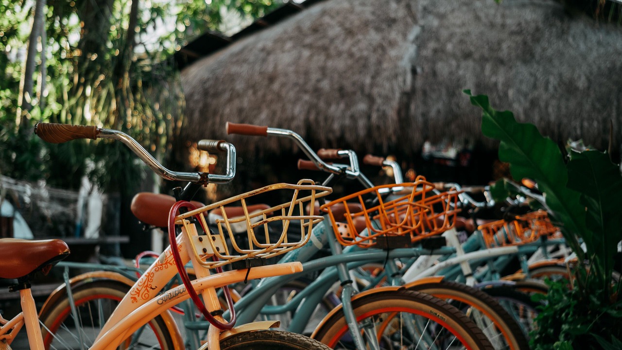 Photo of Outdoor in Tulum City Center