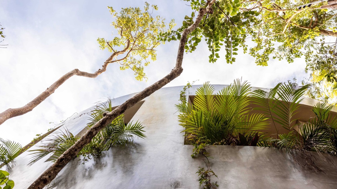 Photo of Outdoor in Tulum City Center