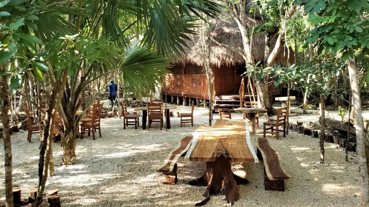 Photo of Others in Puerto Morelos