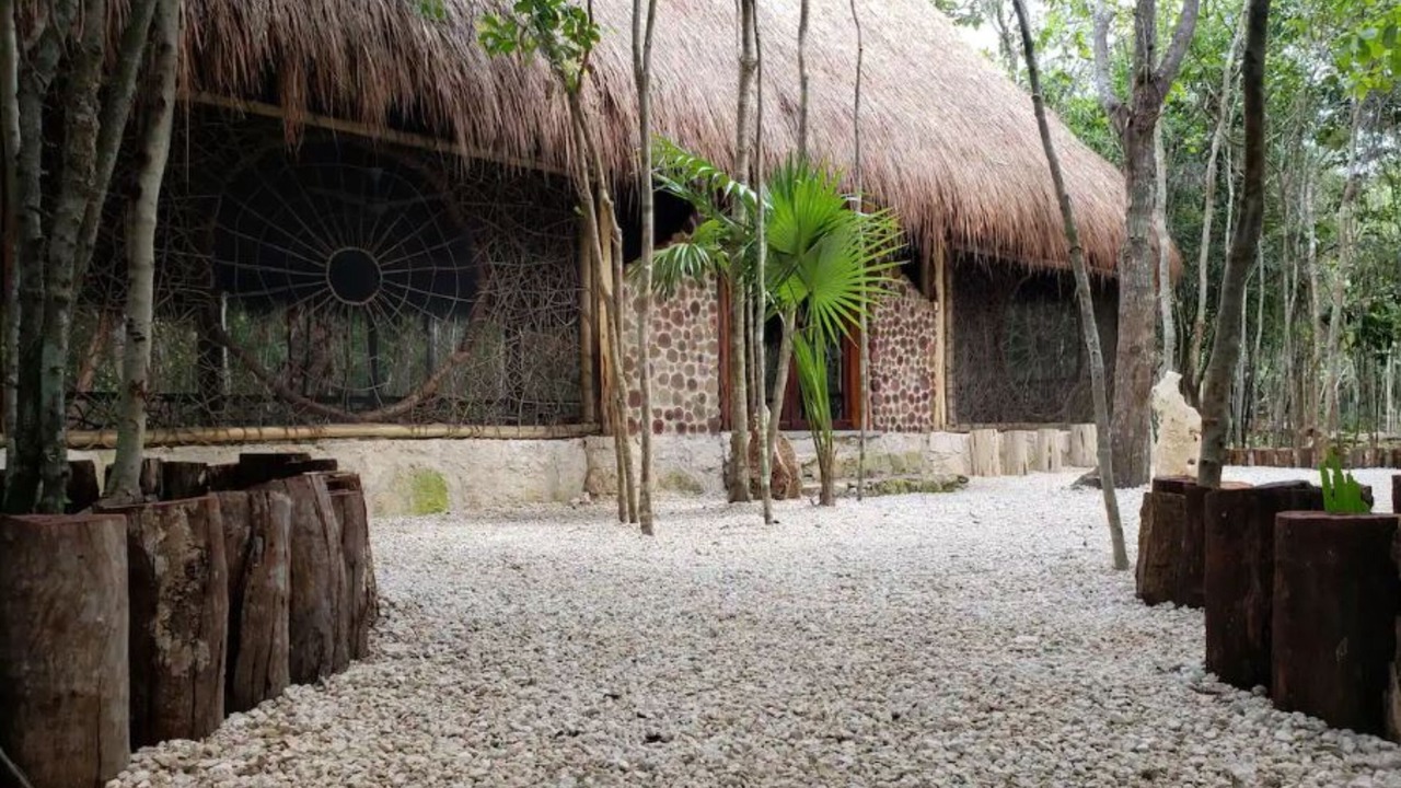 Photo of Others in Puerto Morelos