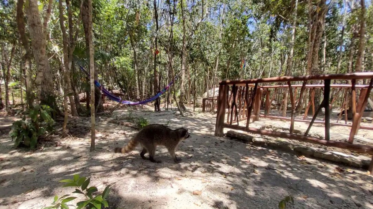 Photo of Outdoor in Puerto Morelos