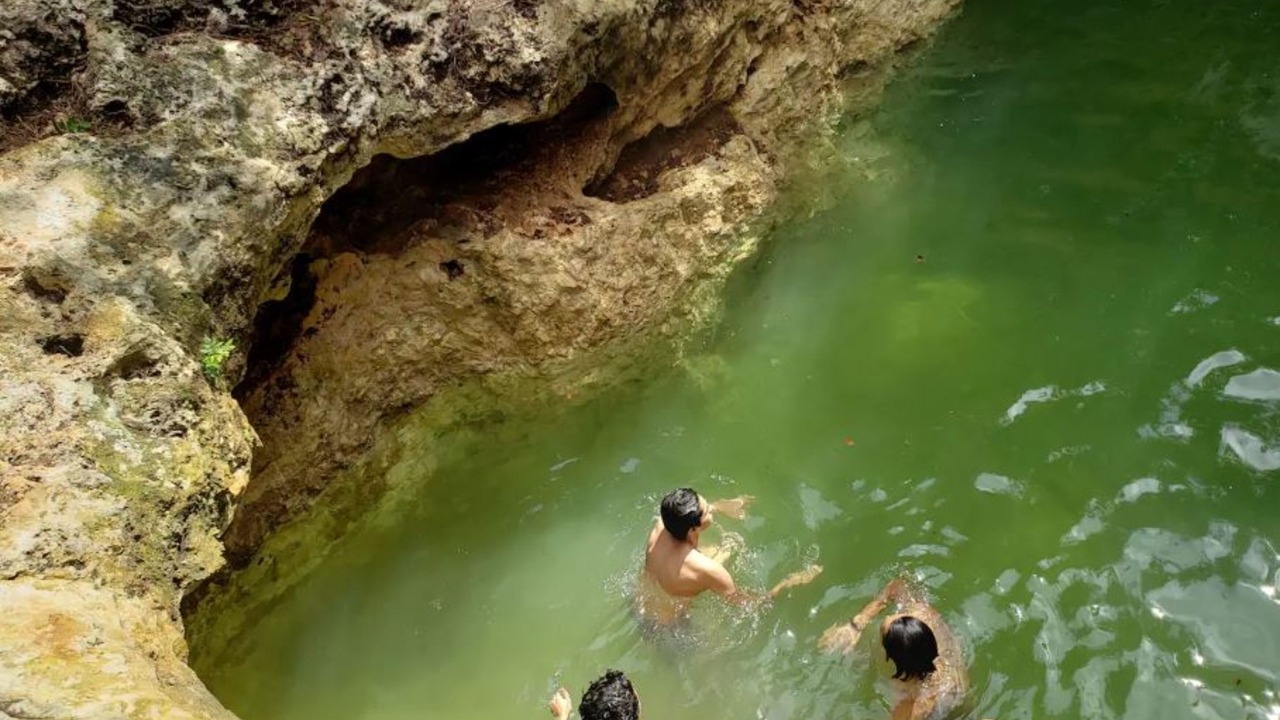 Photo of Others in Puerto Morelos