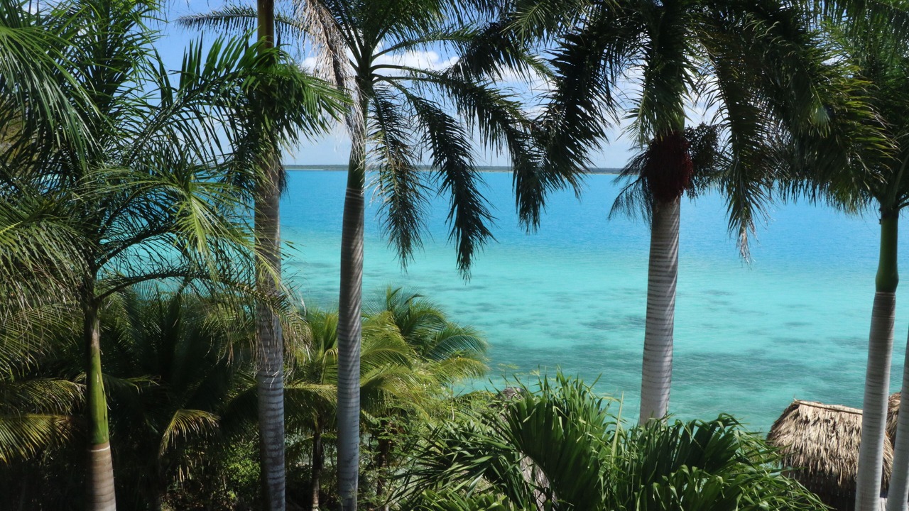 Photo of Bedroom in Bacalar